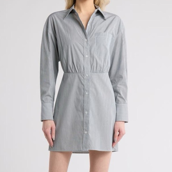 NWT TWP Devon Hunter Green Pinstripe Shirt Dress Collar Polo - Picture 1 of 9